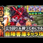 【超究極シャア＆サザビー】※勝てない人必見！手持ち少ない方でも勝利へ！ギミックの仕様やダメージ量、クエスト全体の有益な情報を詳しく紹介。自陣書庫キャラ(始皇帝)パーティで攻略解説【けーどら】