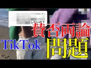 某インフルエンサーが叩かれている理由が一向にわからない