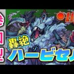 【モンスト】視聴者参加型轟絶ハービセル！初見さん大歓迎！【あかみ】