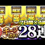 【毎キープガチャ】限定めっちゃ出てる!? 7日間×4端末引いたら全端末に限定が出てビビった…1/30～2/5版【モンスト】◤毎・キープガチャ◢【VOICEROID】【へっぽこストライカー】