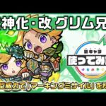 【新キャラ】グリム兄弟 獣神化・改！砲撃型威力で「マーキングミサイル」を所持！友情底力や魔法陣ブーストMで、友情コンボの威力をアップできる点も優秀！【新キャラ使ってみた｜モンスト公式】