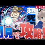 【モンストライブ】超究極『お父様』を初見で攻略していく【鋼の錬金術師】【ゆらたま】#345