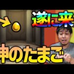 【モンスト】1億円BOXでも有難い『神のたまご』に感謝が止まらない….【ぎこちゃん】