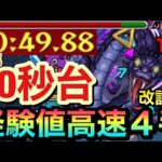 【改訂版】最速”40秒台”も可能！？経験値狙い4手ワンパン高速周回想定編成【超絶『黒蛇』】