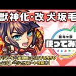 【新キャラ】犬坂毛野 獣神化・改！味方のパワーを一定期間アップするSSやSSターンチャージでサポート性能◎！【新キャラ使ってみた｜モンスト公式】
