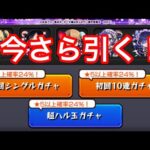 【Live】奇をてらいすぎた配信者による今さらかぐや様ガチャを引いていくだけの回＆雑談酒【モンスト】