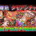 【モンストLive】ついに水転送壁接待！新爆絶『タモアンチャン』初日から運極目指してガチ周回していく！【しゅんぴぃ】
