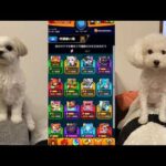 【モンスト】【雑談】守護獣やろうよおおおおお【LIVE】