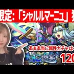 【モンスト】水の遊宴！新限定〈シャルルマーニュ〉引く？引かない？いろいろ考えた上で引いてみた！！！【ゆんみ】
