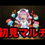 【モンストライブ】フラーシャ初見マルチ