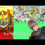 【モンスト】ミューズちゃん可愛くて引かないわけがなくない！！！ｗｗ【ガチャ】