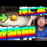 【モンスト】アプデ後に進化した奇跡のガチャが最高すぎる!!!!!!!!!【ぎこちゃん】