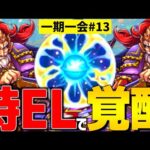 【モンスト】みんなが売却した星5キャラに特級ELをつけた理由。【一期一会ストライク#13】