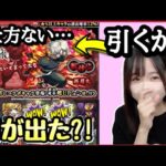 【モンスト地獄楽】一晩で地獄楽にハマったモンスト女子が画尾丸・ヤクモ狙いでガチャ回した結果…まさかの神引き?!【モンスターストライク 確定演出 超獣神祭】