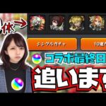 【🔴モンストライブ】諦めきれない地獄楽コラボ！モンドリ前だけど最終日に追いガチャ！！！【ゲーム実況】