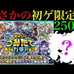 【モンスト】まさかのメイン垢未所持の限定キャラ初ゲット!?『デイリーつみたてガチャ』を5垢合わせて250連引いてみた!!