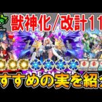 厳選して最強に！ルシファーを含むモンドリ獣神化/獣神化改キャラクターのおすすめのわくわくの実を単体～艦隊まで細かく紹介！【モンスト/しゅんぴぃ】