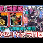 【暴獣：刑武姫・レアモンスター】リタマラするなら絶対この編成！レアモンの出現場所などの紹介【モンスト】【暴獣の研究所】【刑武姫】【亀】