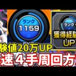 【経験値２０万越え】ランク上げ最適！４手で１分で周回可能！【モンスト】【SAOコラボ】