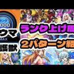 【経験値20倍】激ウマランク上げイベ守護獣ワンパン編成紹介!!