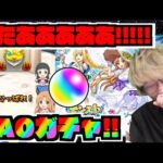 【これは】SAOコラボαガチャ!!!!『アスナα』『シノンα』『アリスα』狙いで引いていく!!!【ぺんぺん】