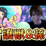 【SAO20倍】孫一検証&守護獣超絶周回【モンスト】