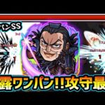 【王騎】※これは強いわ…。弱点露出+直殴り追撃SSで”特殊なワンパン”も可能！パワーオーラ×超バラの殴りも非常に強力！超相性良いキャラは、まさかの王騎？キングダムコラボ使ってみた【けーどら】