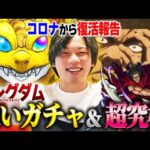 【モンスト】しろ完全復活！初日に逆神引きしたため追いガチャ＆コラボ超究極初見！【キングダムコラボ】【しろ】