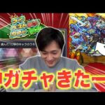 【マイベストテン】シャルルが欲しい欲しいと言い続けて..ようやく大チャンスガチャ到来！【モンスト】