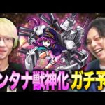 【モンスト】ぺんぺんと『モンタナ獣神化』の性能をガチ予想してみた！【しろ】