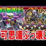 【モンタナvs不可思議】最後の獣神化『モンタナ』を特EL厳選＆紋章超戦型艦隊で禁忌深淵EXの不可思議に挑んだら強すぎたｗ【モンスト/しゅんぴぃ】