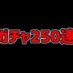 ガチャ200連配布はヤバすぎるだろ流石にｗｗｗｗｗｗｗｗｗｗｗｗｗｗｗｗｗｗｗｗｗｗｗｗｗｗｗｗｗｗｗｗｗｗｗｗｗｗｗｗｗｗｗｗｗｗｗｗｗｗｗｗｗｗｗｗｗｗｗｗｗｗｗｗｗｗｗｗｗｗｗｗ