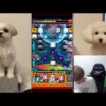 【モンスト】未開とか禁忌とか【LIVE】