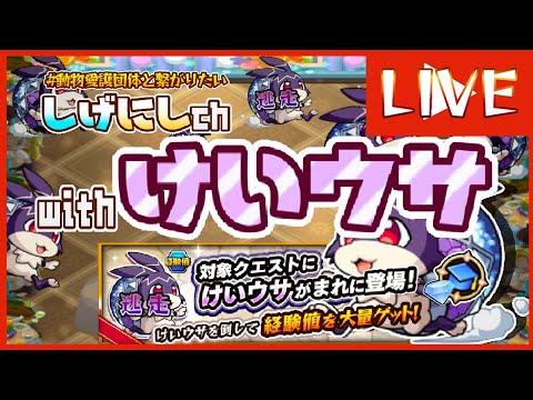 【🔴モンストlive】けいうさやるぞ。