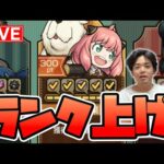 【モンスト LIVE】アーニャ同行でランク上げするよ 1825~〈SPY×FAMILY / スパイファミリーコラボ開催中〉【モンスターストライク/くろすけ】