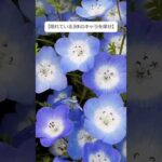 【見つけられたらモンストIQ150あるらしい】【隠れている3体のキャラを探せ】