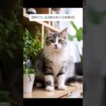 【見つけられたらモンストIQ150あるらしい】【隠れている3体のキャラを探せ】