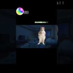 モンストガチャあるある#モンスト#ネコマニ#猫ミーム