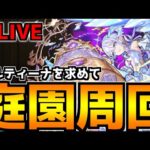 【🔴LIVE】天魔庭園10「コルティーナ」を求めて　『深夜のモンスト配信』 – モンスターストライク【2024/02/19】