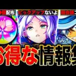 【モンスト】ガチャ引く前に見て！フリーレンコラボ激獣神祭を引くうえで押さえておきたい情報まとめ《葬送のフリーレンコラボ》