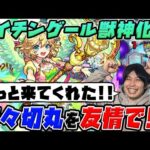 【獣神化改ナイチンゲール】超強反射クロスEL×水属性キラー×ロングパワーモードの殲滅力！！超究極封祢々切丸と真伊達政宗で使ってみた感想【モンスト】