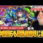 【モンスト】黎絶だけでなく空中庭園も破壊！殴り,友情,SSすべてが化け物すぎて敵が溶ける！これはガチパ更新！超獣新限定『ナイトメア：トラベルスタイル』空中庭園5で使ってみた！【しろ】