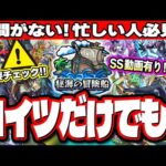 【忙しい人必見!!】秘海の冒険船の運極作成はこれだけでも‼︎ 今年の降臨キャラはスペックが高めであのクエストで使えるキャラも!!【モンスト】【考察】