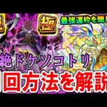 【最強運枠】轟絶『ドケソコトリ』今から周回する人向けのクエスト解説！強キャラ大量追加で簡単に運極にできる!?【モンスト/しゅんぴぃ】