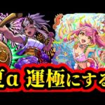 【夏α運極ガチャ配信】島左近αとゲキリンαを運極にしたい！！【モンスト】