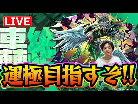 【#モンスト】運極目指して『カカゴセデク〈轟絶〉』やるぞ～！ラック41~【モンスターストライク/くろすけ】