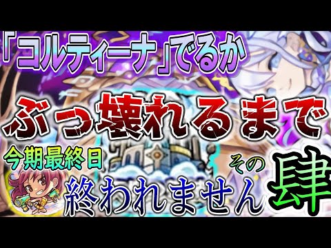 「コルティーナ」追い込み枠【モンスト】コラボもやりつつな。