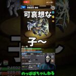 カメハメハ獣神化改おめでとう‼️ #モンスト #ssボイス #ネタ #おすすめ