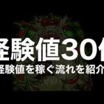 【経験値30倍〜書庫編〜】経験値の稼ぎ方やおすすめクエストと編成紹介【モンスト】