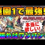 【シーブック・アノー＆ガンダムF91】庭園1最強キャラ！？≪ガンダムシリーズ第2弾≫ボス1からワンパンも…使ってみた【モンスト】